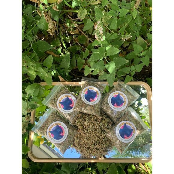 PURE GOLD Catnip Organically Grown & Harvested Pure Californian Catnip 4"x 3" - Picture 7 of 16